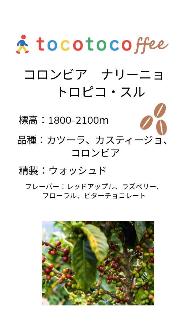 コロンビア　ナリーニョ　トロピコ・スル　100g